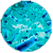 fotocatalisis_75x75