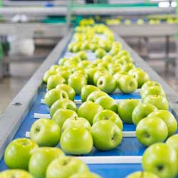 menu-sector-alimentaria-farmaceutica
